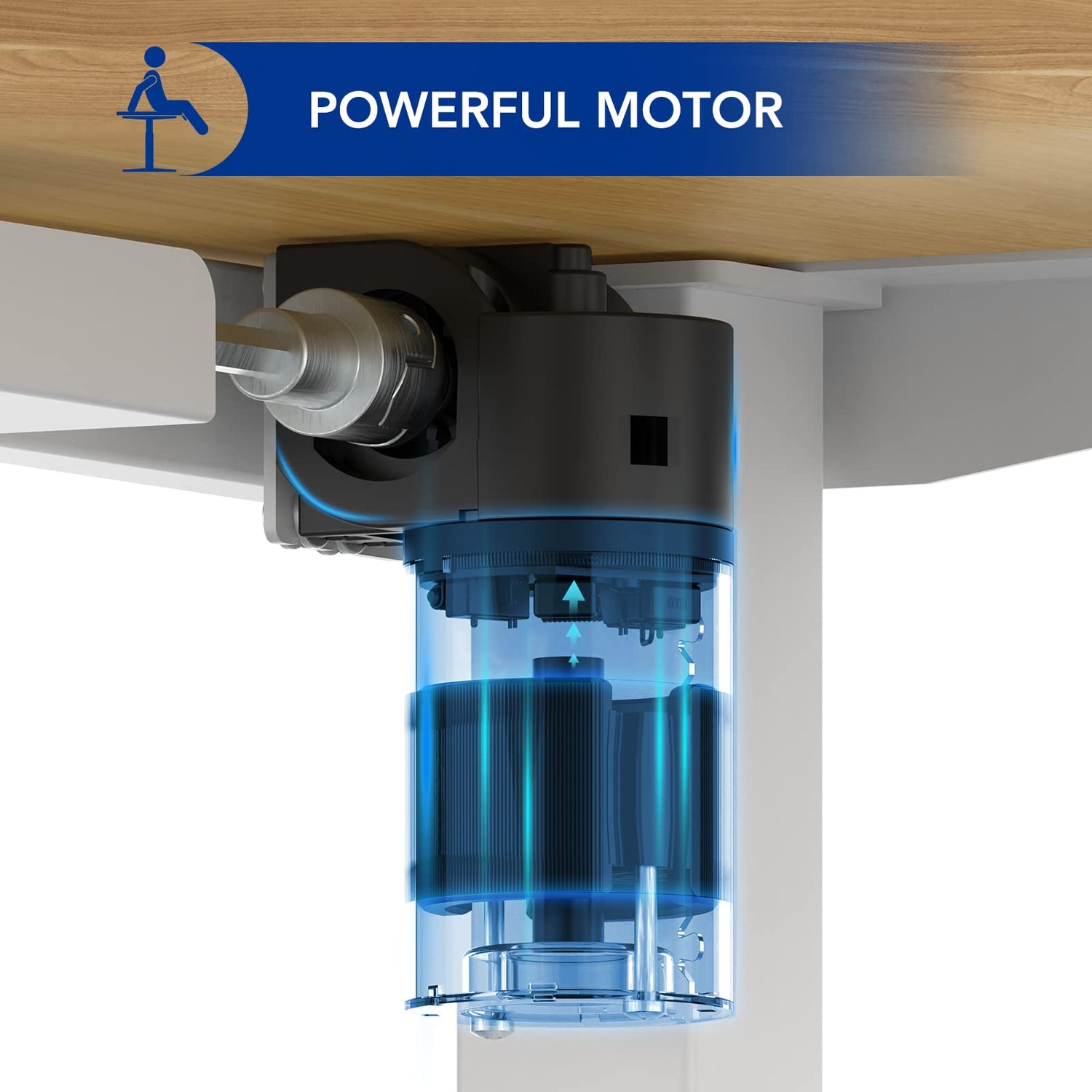 SANODESK Electric Standing Desk 48 x 24 Inches, Height Adjustable Stand Up Desk w/2-Button Controller, Ergonomic Computer Desk for Home Office, White SANODESK