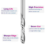 SpeTool Downcut CNC Bit 1/8 Inch Cutting Diameter 1/8 Inch Shank, Solid Carbide Spiral Router Bit Pluge Cut for Woodwoorking Inlay Engraving Tool SpeTool