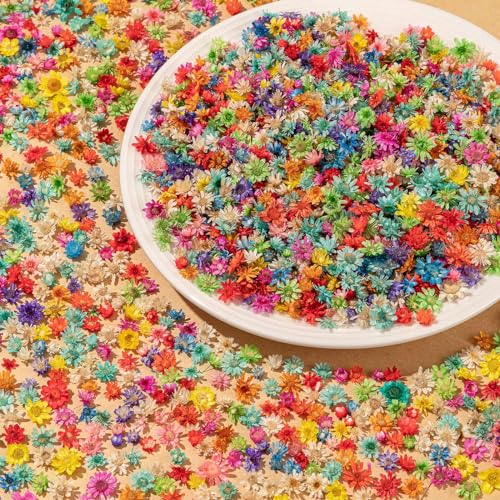 1700 PCS Bulk Tiny Dried Flowers for Resin - Small Dried Flowers for Crafts, Natural Real Mini Dried Pressed Flowers for Jewelry Earrings Epoxy - WoodArtSupply