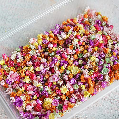 710pcs DIY Dried Flowers Scattered Aromatherapy Candle Epoxy Resin Pendant TEAMWILL