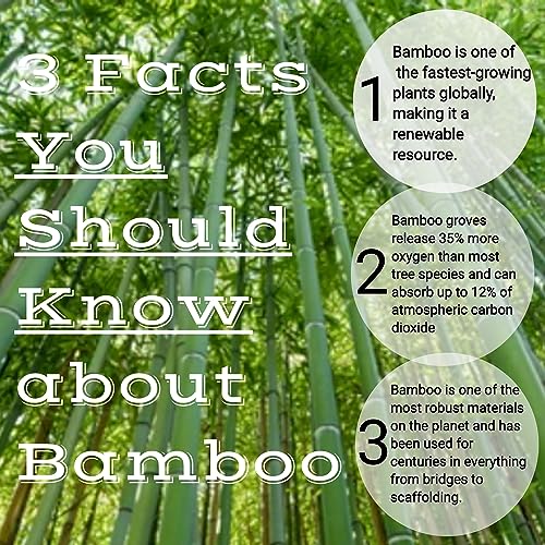 Bamboo Cutting Boards for Kitchen - Wood Cutting Board with Juice Grooves - Small Wood Cutting Board for Meat, Wooden Cutting Boards for Kitchen Hammont