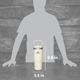 STANLEY IceFlow Stainless Steel Tumbler with Straw - Vacuum Insulated Water Bottle for Home, Office or Car - Reusable Cup with Straw Leak Resistant STANLEY