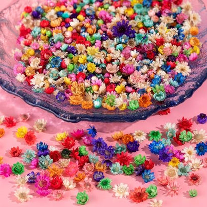 600 PCS Dried Flowers for Resin Crafts, Small Dried Flowers for Nails, Real Natural Tiny Dried Pressed Flowers for Jewelry Earrings Epoxy Molds,