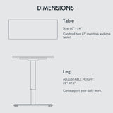 FLEXISPOT Adjustable Desk 60 x 24 Inches Stand Up Desk Workstation Electric Height Adjustable Standing Desk with Splice Board (Gray Frame + 60 inches FLEXISPOT