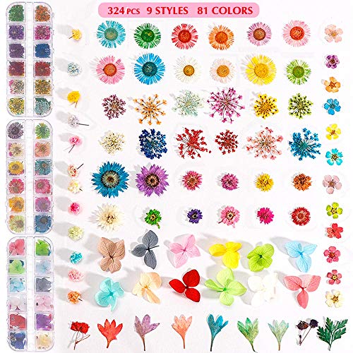 324PCS Dried Flowers Nail Art - Nail Art Accessories Kits, 81 Color Lovely Natural Nail Art, Dried Flowers for Resin Molds, Dry Flowers for Nails, YWLI