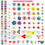 324PCS Dried Flowers Nail Art - Nail Art Accessories Kits, 81 Color Lovely Natural Nail Art, Dried Flowers for Resin Molds, Dry Flowers for Nails, YWLI