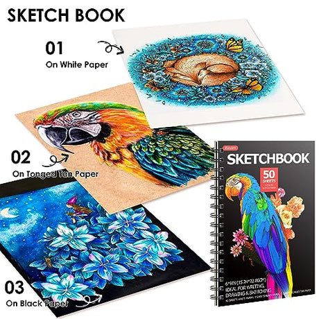 iBayam 123-Pack Colored Pencils Set with Gift Case, 3-Color Sketch Pad, Coloring Book, Professional Artist Drawing Pencils Kit Art Supplies for iBayam