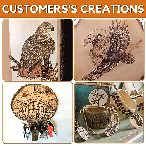 Professional Wood Burning Kit, Wood Burner Machine Pyrography Woodburning Tool for Beginners Adults (Sigle Pen Wood Burning Kit) ACRSIKR