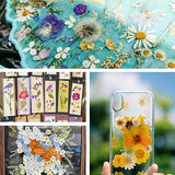 Buzidao Dried Pressed Flowers, 80Pcs Real Natural Pressed Flowers for Resin DIY Crafts Nail Art Candle Jewelry Making, Real Dried Pressed Flowers, Buzidao