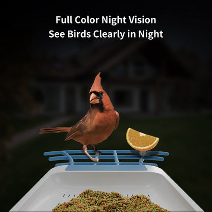 Bird Feeder with Camera,Wireless Outdoor Solar Bird Feeder,AI Identify 10000+Bird Species,Auto Capture Bird Videos & Notify of Birds,1080P Bird