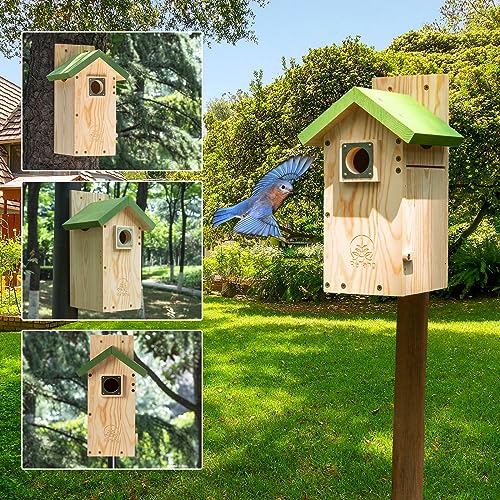 Wooden Bird House for Outside, Bird Box with Viewing Window and Predator Guard, Bluebird Houses for Outside Clearance, Nesting House on a Pole for - WoodArtSupply