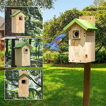 Wooden Bird House for Outside, Bird Box with Viewing Window and Predator Guard, Bluebird Houses for Outside Clearance, Nesting House on a Pole for - WoodArtSupply