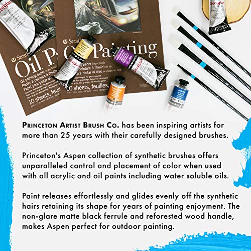 Princeton Aspen, Series 6500, Synthetic Paint Brush for Acrylics and Oils, Professional 4-Piece Set - WoodArtSupply