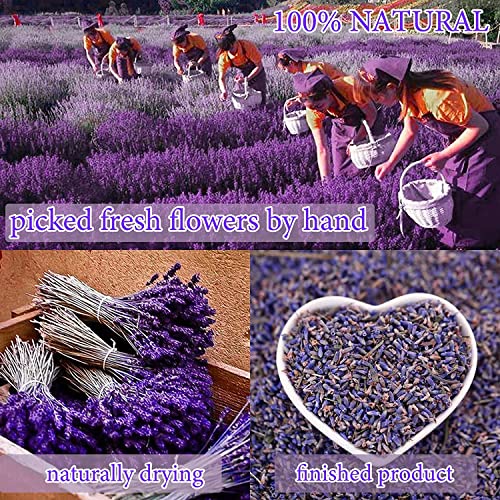 20 Bags Dried Flowers,100% Natural Dried Flowers Herbs Kit for Soap Making, DIY Candle Making,Bath - Include Rose Petals,Lavender,Don't Forget Me
