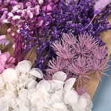 Dried Pressed Flowers for Soap Candle Making and Resin Jewelry Making Pressed Flower (Purple Blue Set) DALARAN