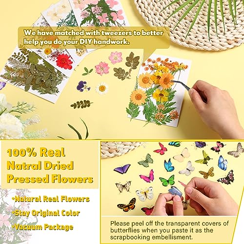 Fabbay 712 Pcs Dried Pressed for Resin with Tweezer Flowers Leaves Butterfly Stickers Dry Flowers Leaves Bulk Natural Dried Flower Scrapbook Fabbay