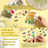 Fabbay 712 Pcs Dried Pressed for Resin with Tweezer Flowers Leaves Butterfly Stickers Dry Flowers Leaves Bulk Natural Dried Flower Scrapbook Fabbay