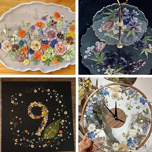 Buzidao Dried Pressed Flowers, 80Pcs Real Natural Pressed Flowers for Resin DIY Crafts Nail Art Candle Jewelry Making, Real Dried Pressed Flowers, Buzidao