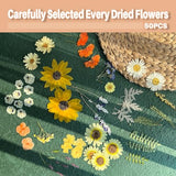 ZQmino A4 Large Dried Pressed Flowers for Resin Sunflower Pressed Flowers Real Dry Natural Flowers Leaves for Resin Mold Cake Candle Making Phone ZQmino