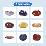 Leegol Electric Rock Tumbler Double Drum 6LB Lapidary Polisher Leegol Electric