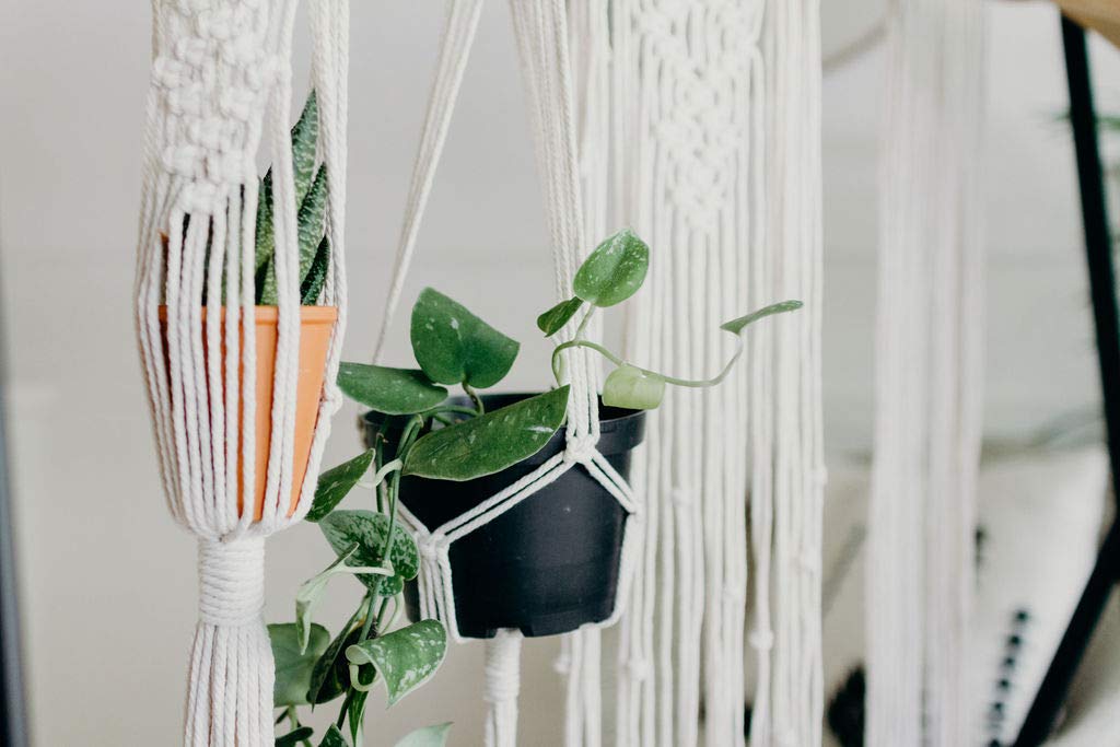 DIY Macrame Kit for Beginners by I HEART KITS – Makes 3 Projects: 1 Macrame Plant Hanger, 1 Macrame Keychain & 1 Macrame Wall Hanging, Includes - WoodArtSupply