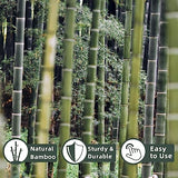 50Pcs Bamboo Plant Stakes for Indoor Outdoor Plants, 0.32''/16 Inch Bamboo Sticks Garden Support Stakes Bamboo Poles Trellis for Tomato Vegetables Avalution