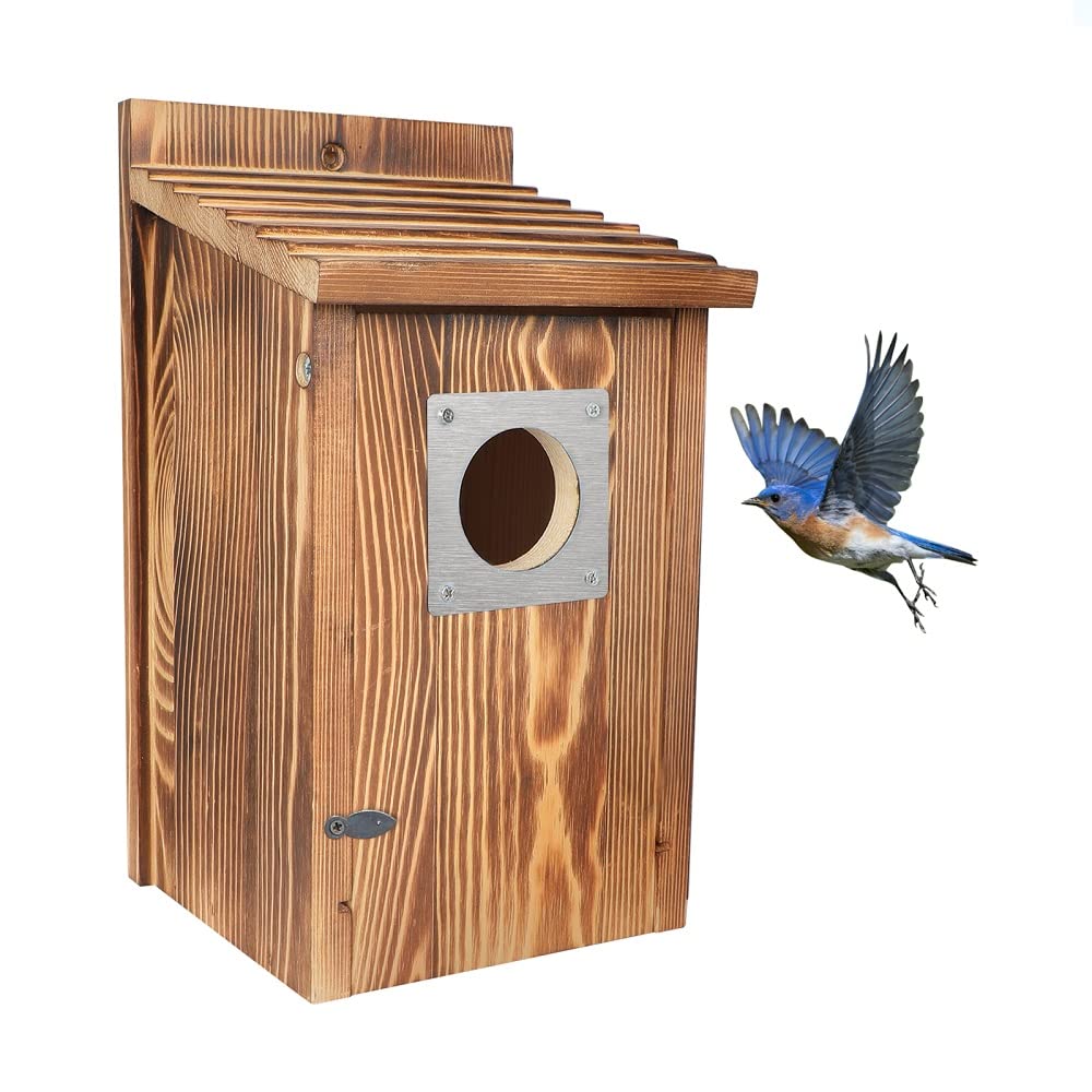 Bird Houses for Outside with Metal Predator Guard for Bluebird Wren Swallow Finch, Carbonized Wooden Nesting Boxes for Outdoor, Sturdy Bird - WoodArtSupply