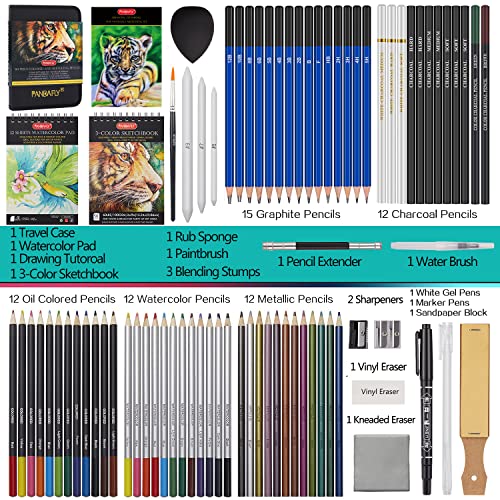 PANDAFLY Professional Drawing Sketching Pencil Set - 12 Pieces Graphite  Pencils(14B - 2H), Ideal for Drawing Art, Sketching, Shading, Artist  Pencils for Beginners & Pro Artists 12 Pack - Black