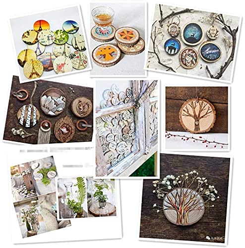 Natural Wood Slices TICIOSH Craft Unfinished Wood kit Predrilled with Hole Wooden Circles for DIY Crafts Wedding Decorations Christmas Ornaments Arts