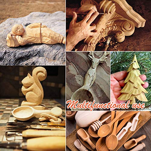Wood Carving Tools Set, Wood Carving Hand Tools for Beginners with Whittling Knife Detail Wood Carving Knife and 12pcs SK2 Carbon Steel Wood Carving Trafagala
