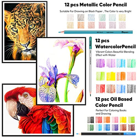 iBayam 78-Pack Drawing Set Sketching Kit, Pro Art Supplies with 75 Sheets 3-Color Sketch Pad, Coloring Book, Charcoal, Metallic, Colored Watercolor, iBayam