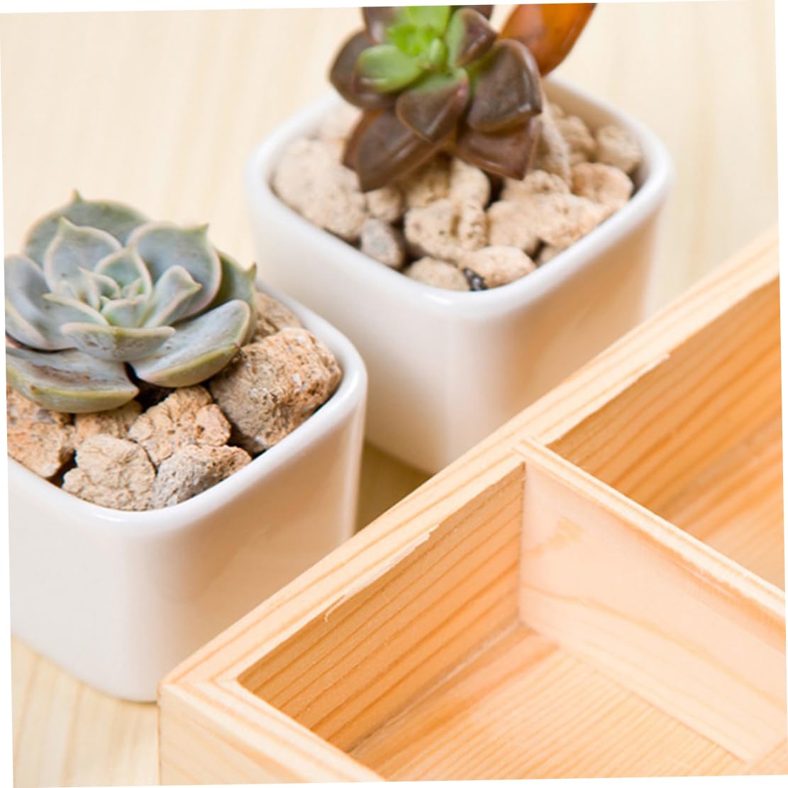 Rustic Compartments Wooden Divided Boxes Succulents Flower Pot Desktop Storage Box Holder, Wood Display Tray for Crafts, Jewelry (10 grids) LokweeTal