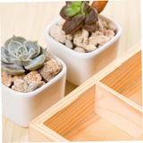 Rustic Compartments Wooden Divided Boxes Succulents Flower Pot Desktop Storage Box Holder, Wood Display Tray for Crafts, Jewelry (10 grids) LokweeTal