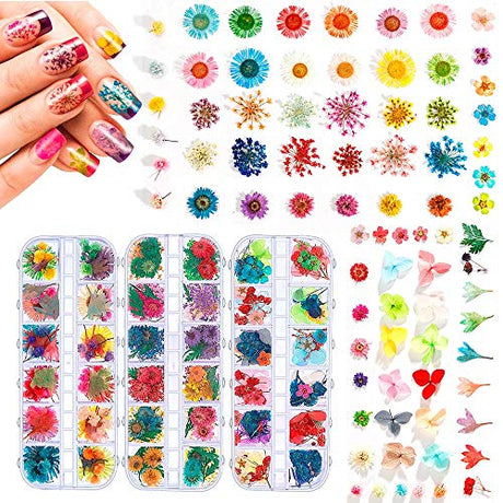 324PCS Dried Flowers Nail Art - Nail Art Accessories Kits, 81 Color Lovely Natural Nail Art, Dried Flowers for Resin Molds, Dry Flowers for Nails, YWLI