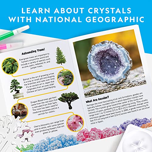 NATIONAL GEOGRAPHIC Craft Kits for Kids - Crystal Growing Kit, Grow 6 Crystal Trees in Just 6 Hours, Educational Craft Kit with Art Supplies, Geode - WoodArtSupply