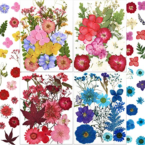 LUCISKY 96 Pcs Pressed Dried Flowers Real Natural Leave Petals for DIY Resin Molds Jewelry Nail Candle Crafts LUCISKY