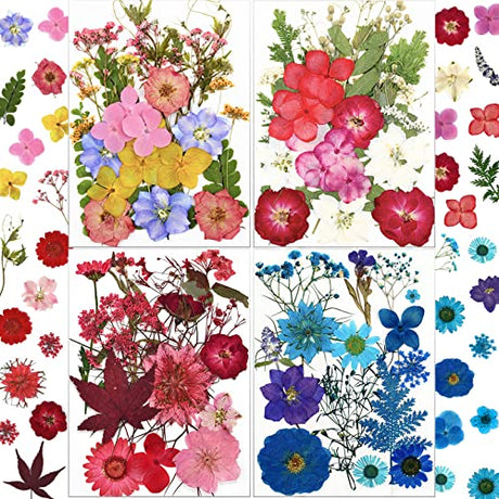 LUCISKY 96 Pcs Pressed Dried Flowers Real Natural Leave Petals for DIY Resin Molds Jewelry Nail Candle Crafts LUCISKY