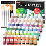 54 Colors Acrylic Paint, Shuttle Art Acrylic Paint set with 12 Paint Brushes, 2oz/60ml Bottles, Rich Pigmented, Water Proof, Premium Paints for Shuttle Art