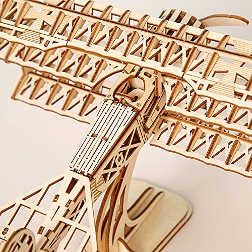 3D Wooden DIY Ferris Wheel Puzzle Kit - Perfect Educational Gift for All Ages ROEOLNIL