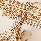 3D Wooden DIY Ferris Wheel Puzzle Kit - Perfect Educational Gift for All Ages ROEOLNIL