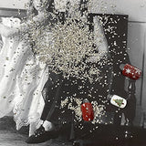 Jmassyang Crushed Glass Irregular Metallic Chips 100g Sprinkles Chunky Glitter for Nail Arts Craft Resin DIY Mobile Phone Case Vase Fillers Jewelry Jmassyang