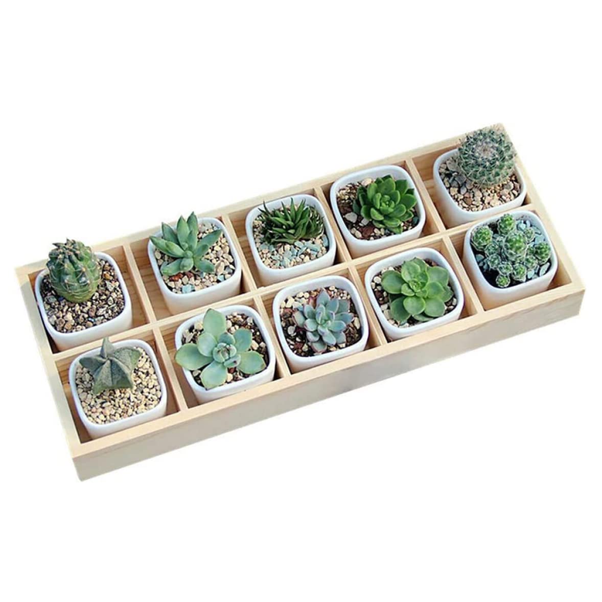 Rustic Compartments Wooden Divided Boxes Succulents Flower Pot Desktop Storage Box Holder, Wood Display Tray for Crafts, Jewelry (10 grids) LokweeTal