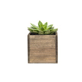 CYS EXCEL Cube Planter Box with Removable Plastic Liner (4"x4"x4")(4 PCS) | Multiple Size Choices Wood Square Planter | Indoor Decorative Window Box CYS EXCEL