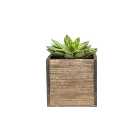 CYS EXCEL Cube Planter Box with Removable Plastic Liner (4"x4"x4")(4 PCS) | Multiple Size Choices Wood Square Planter | Indoor Decorative Window Box CYS EXCEL