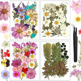 Resiners 100Pcs Dried Pressed Flowers for Resin Molds, Real Pressed Flowers Dry Leaves Kit for Art Crafts Resin Jewelry Making Scrapbook Supplies Resiners
