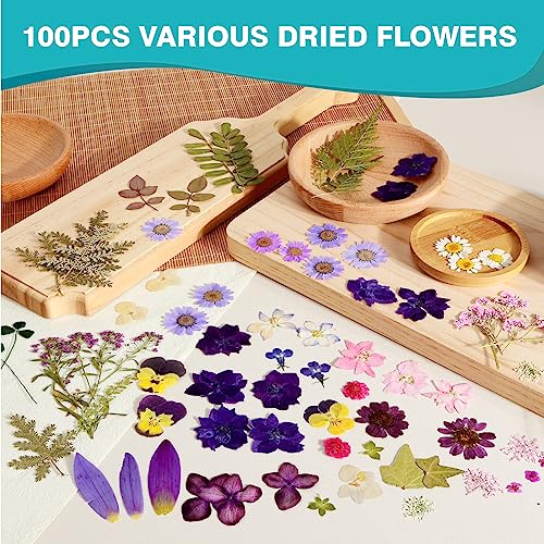 Resiners 100Pcs Dried Pressed Flowers for Resin Molds, Purple Real Pressed Flowers Dry Leaves Kit for Art Crafts Resin Jewelry Making Scrapbook Resiners