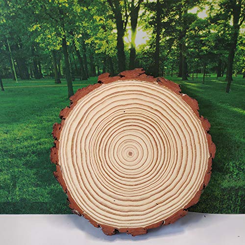 Natural Wood Slices Round Pine Wood Slabs 5 Pack Round Rustic Woods Slices 9"-11" Rustic Tree Bark Slice Weathered Log Disc Outdoor Country Barn BESTWD