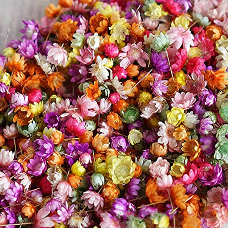 710pcs DIY Dried Flowers Scattered Aromatherapy Candle Epoxy Resin Pendant TEAMWILL