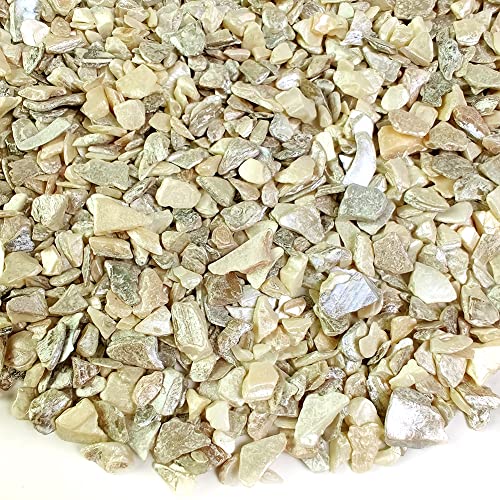HappyFiller 1.4 Pound Broken Pieces Crushed Shells Chips Vase Filler Resin Arts,Succulents,Plants Top Dressing Soil Cover,Hotricultural Pebbles Grow HappyFiller