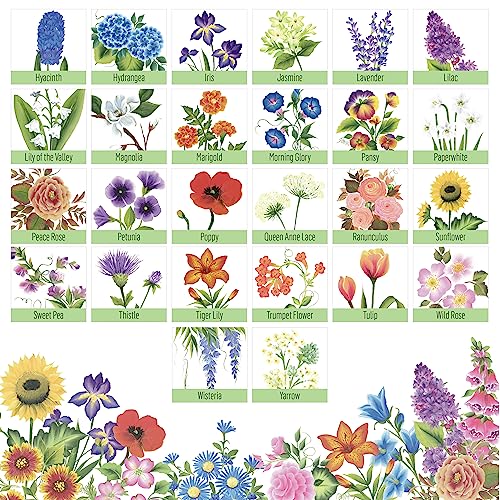 FolkArt Z' Floral One Stroke Kit, Including 10 Multi-Surface Paints, 5 Brushes, 50 Full-Color Teaching Guides, 1 Floating Medium, and a Wood Storage FolkArt